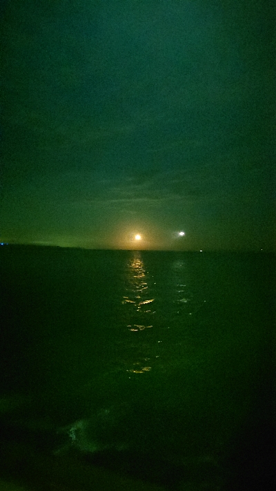 前の日のリベンジ。