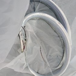 サーベリング。