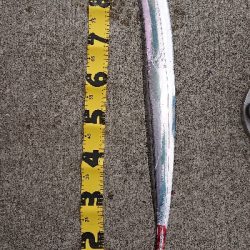 サーベリング！