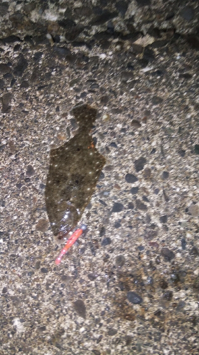 ライトタクックで