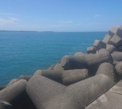 ただただ渋い…(–;)