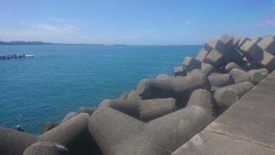 ただただ渋い…(–;)