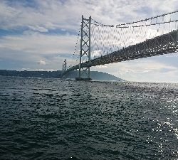 日中に青物調査