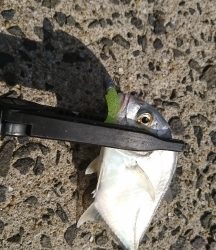 メッキゲーム！