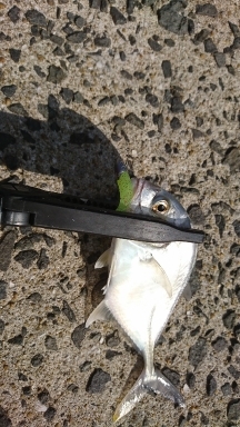 メッキゲーム！