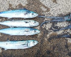 爆発〰️(／ロ゜)／