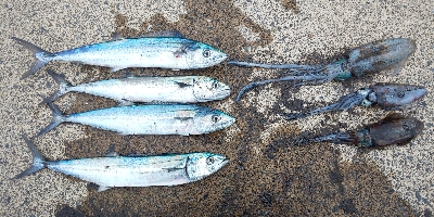 爆発〰️(／ロ…