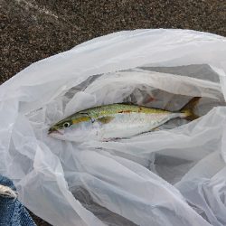 3割3分3厘・・・