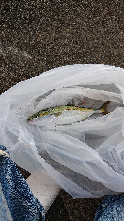 3割3分3厘・・・