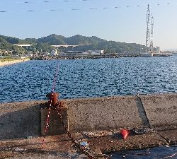 キス釣り、五目釣り