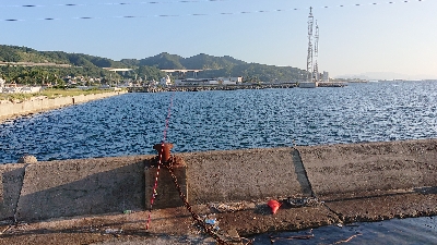 キス釣り、五目釣り