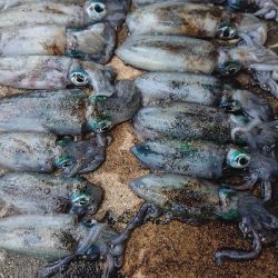 天気が荒れる前に