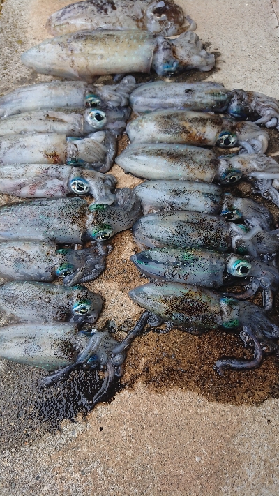 天気が荒れる前に