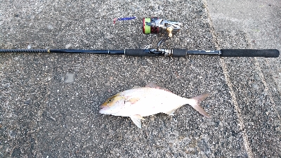 とりあえずメタルジグで