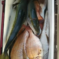 台風前のタイラバ