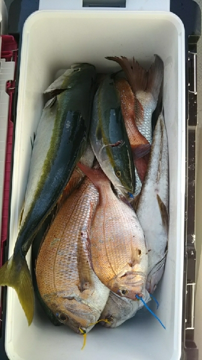 台風前のタイラバ