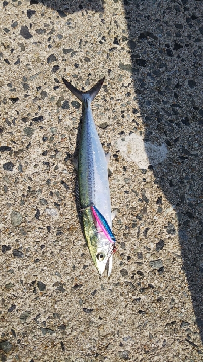 満潮時 一時間半で