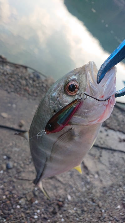 メッキ好調です！