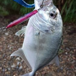 メッキ絶好調です！