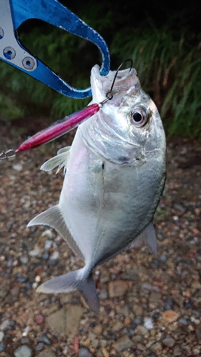 メッキ絶好調です！