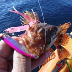 奥能登カヤックでライトロック調査♩