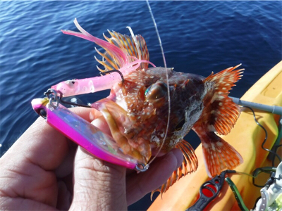 奥能登カヤックでライトロック調査♩