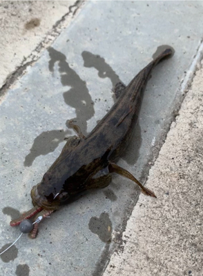 宮川河口への釣行。