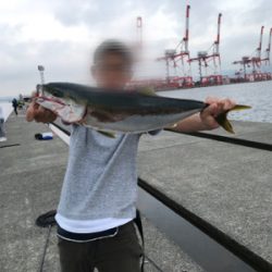 ツバス、ハマチ、爆！！！！