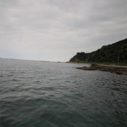 エギングに来たのですが、、、