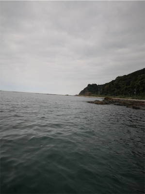 エギングに来たのですが、、、