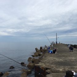 カミさんの大活躍！