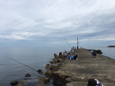 カミさんの大活躍！