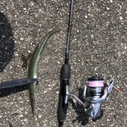 矢倉海岸 アジング   サヨリング