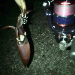 厳しいケンサキ釣り>_<