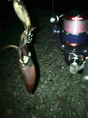 厳しいケンサキ釣り>_<