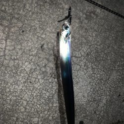 秋タチウオ始動か?