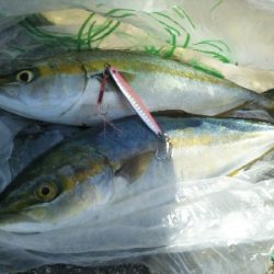 活性…ひくぅ!でもなんとか