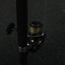 アコウの巣3 飲ませ最強