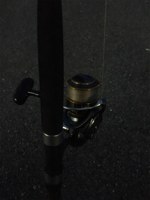 アコウの巣3 飲ませ最強