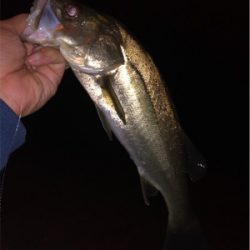 スリリングな攻防！