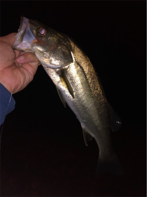 スリリングな攻防！