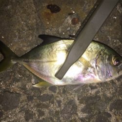 メッキ来た〜 (^O^)