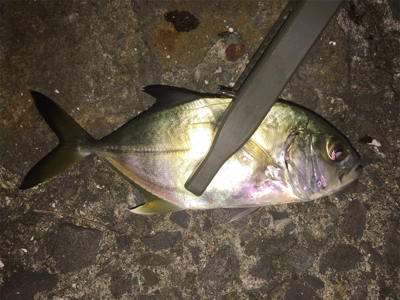 メッキ来た〜 (^O^)