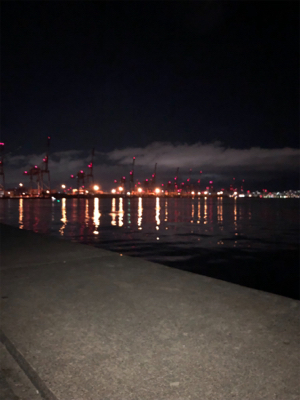 久々のポーアイ