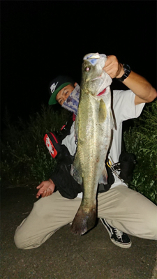 ナイトシーバス