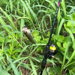 バスを探して出勤