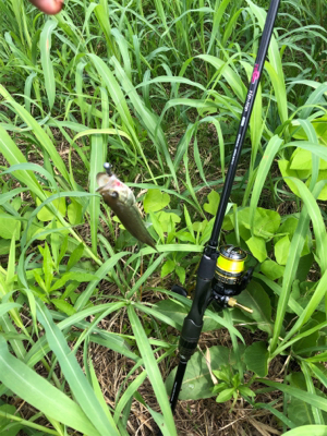 バスを探して出勤