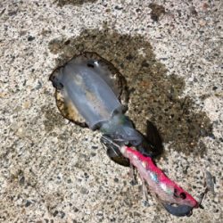 大雨の後に誰もいない堤防で