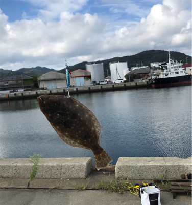 河口付近でヒラメ
