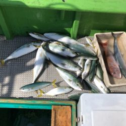 孝洋丸 落とし込み